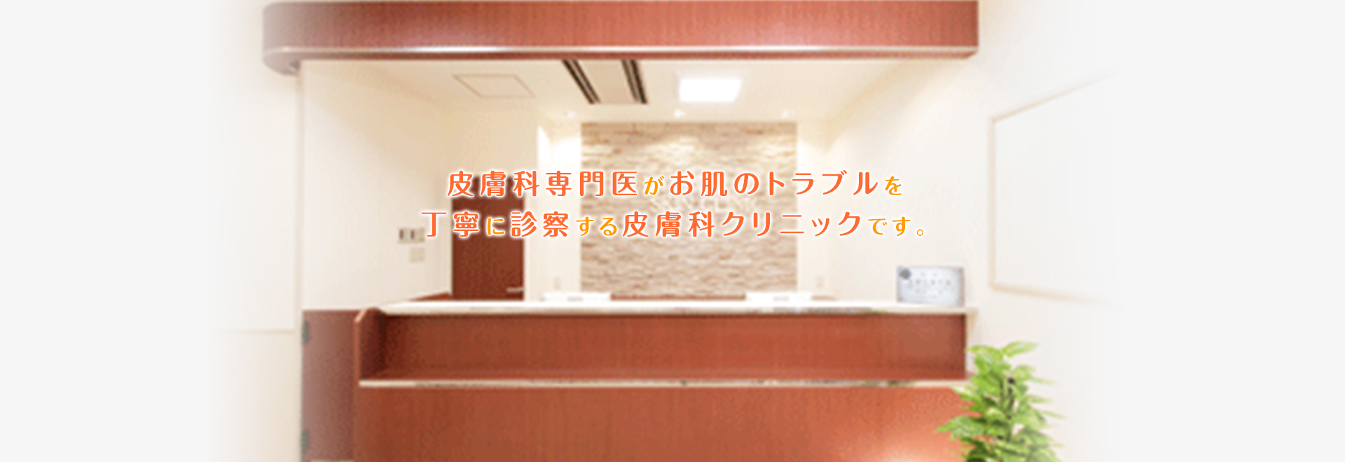 丁寧な説明 わかりやすい説明を